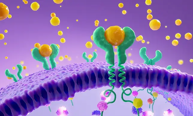 Preview image of video thumbnail showing an animated view of skin inflammation at the cellular level, introducing a short educational video about how HS inflammation starts and spreads in the body 