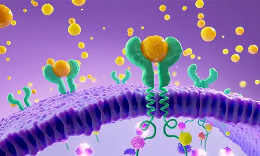 Preview image of video thumbnail showing an animated view of skin inflammation at the cellular level, introducing a short educational video about how HS inflammation starts and spreads in the body